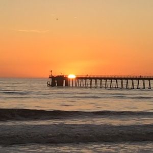 Meet your Posher, Tami